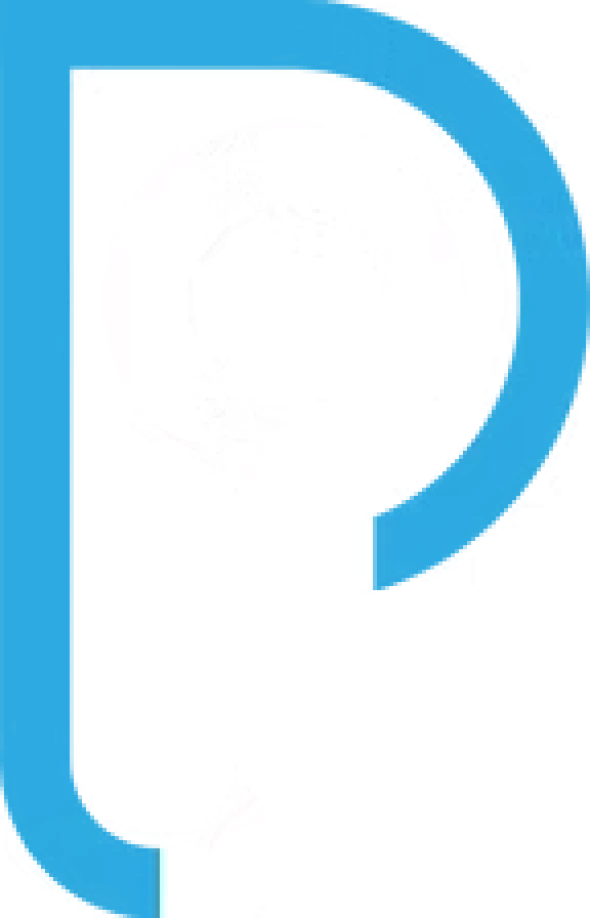 Perfect Solutions e.U.