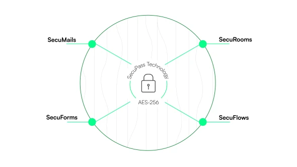 SecuFlows Advanced